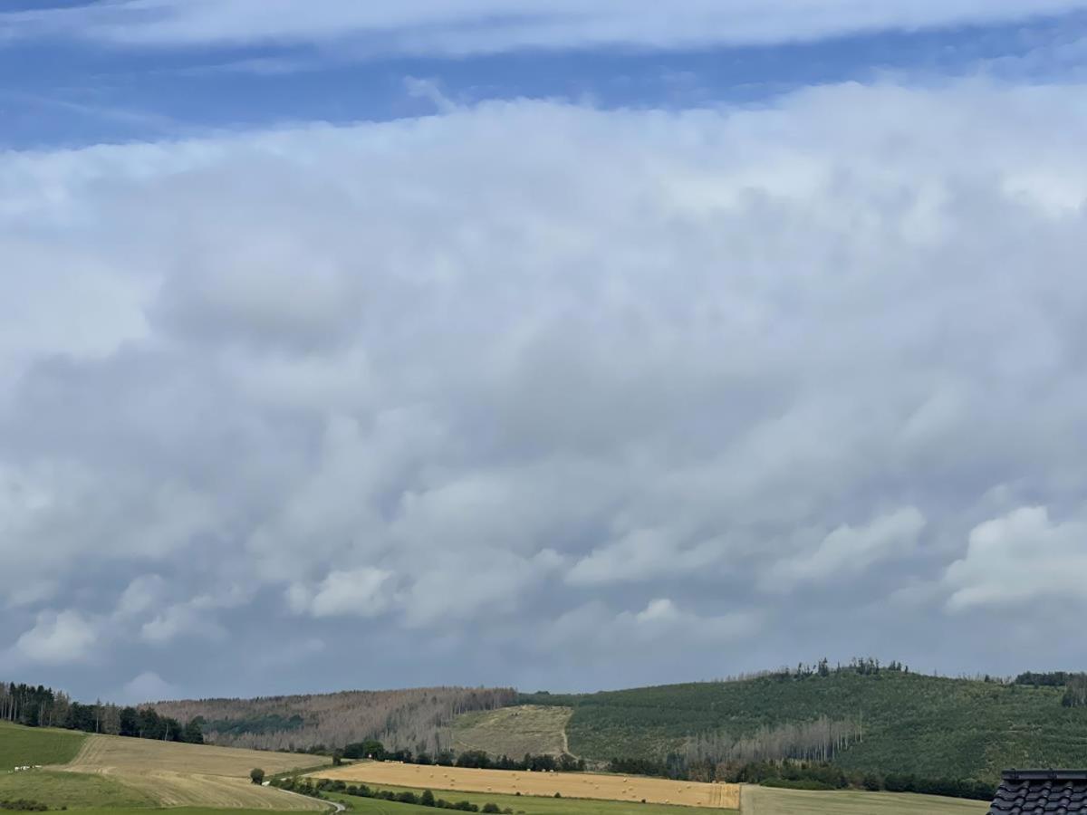 Appartamento Sonnenweg 48-4 Sauerlandblick Heringhausen Esterno foto